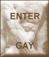 Enter Raven Porn Reviews for hot Gay Porn